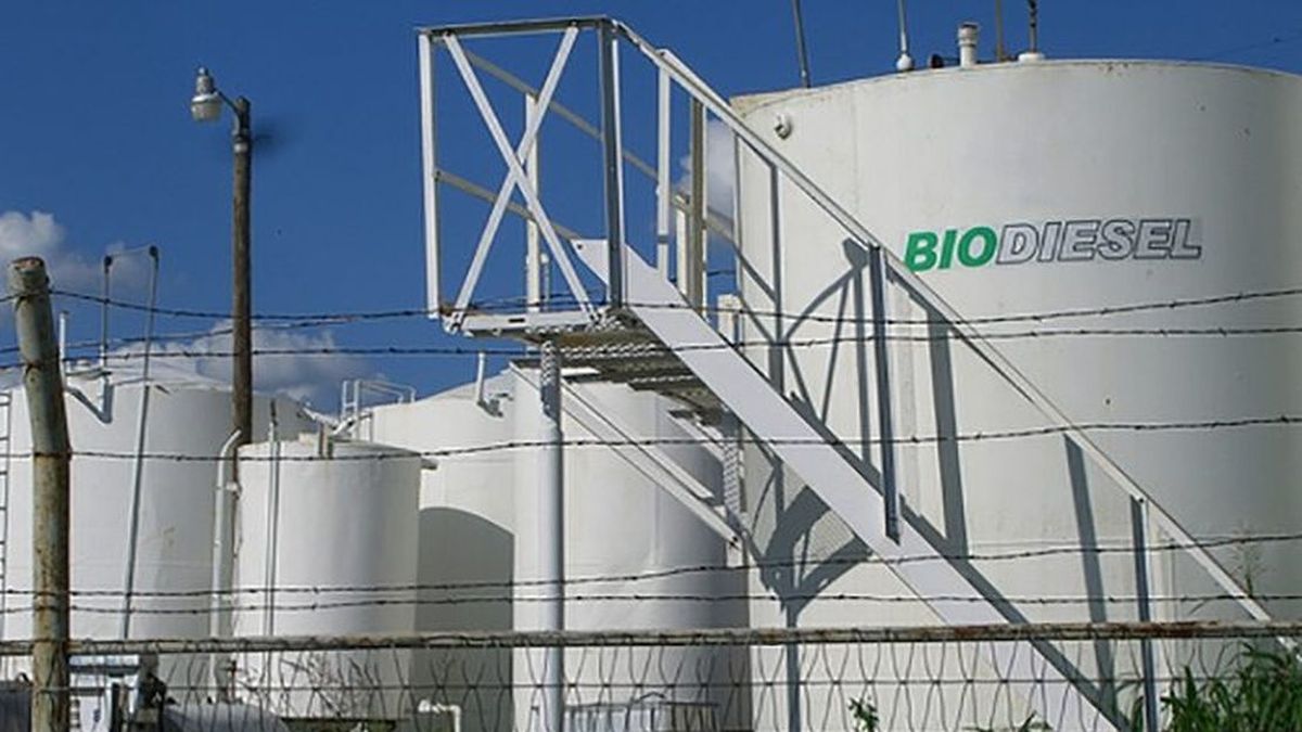 Revés judicial: EEUU ratificó sanción para el biodiésel argentino