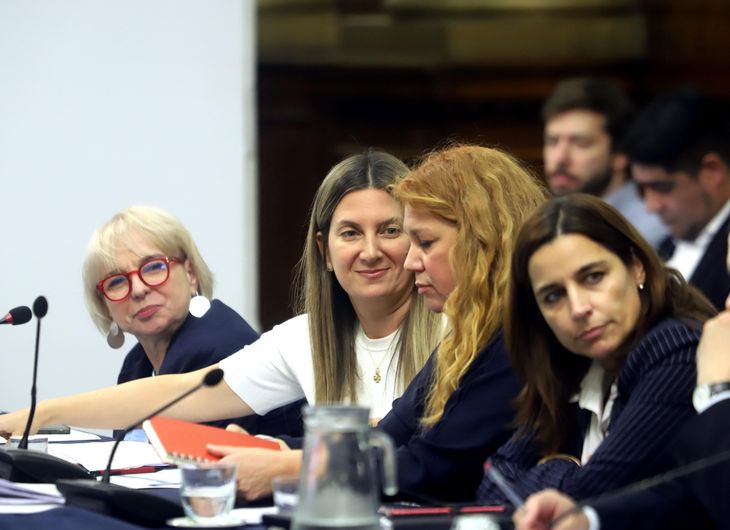 Diputadas del PRO y la UCR en la Comisión de Asuntos Constitucionales. Diputadas del PRO y la UCR en la Comisión de Asuntos Constitucionales.