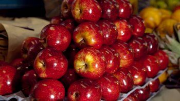 brasil rechazo un embarque de frutas de rio negro por la presencia de larvas