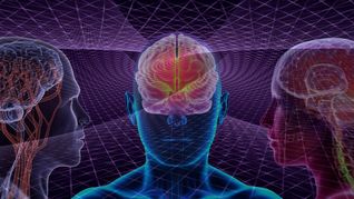 El cerebro funciona distinto si pensamos en nosotros o en otros