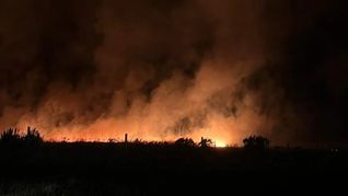 Los incendios en Mar del Plata iniciaron el pasado domingo. Los incendios en Mar del Plata iniciaron el pasado domingo.