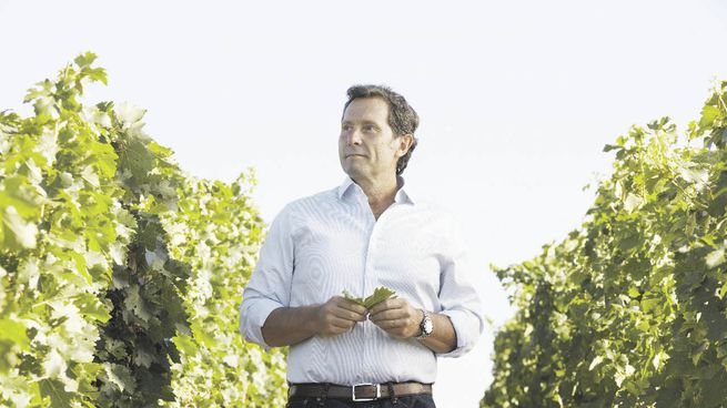 Cuarta generación. Alberto Arizu (h), CEO de la bodega Luigi Bosca.