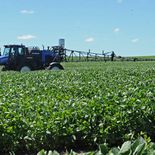 China detectó incumplimientos sanitarios en el 80% de las exportaciones de soja de Uruguay durante 2025. China detectó incumplimientos sanitarios en el 80% de las exportaciones de soja de Uruguay durante 2025.