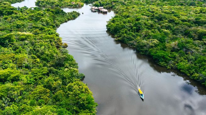 La reelección de Luiz Inácio Lula da Silva renovó las expectativas de las organizaciones ambientalistas de frenar la deforestación y proteger la Amazonía brasileña.