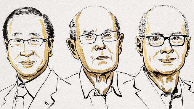Susumu Kitagawa, Richard Robson y Omar Yaghi recibieron el Nobel de Química 2025 por desarrollar estructuras metalorgánicas con aplicaciones innovadoras.