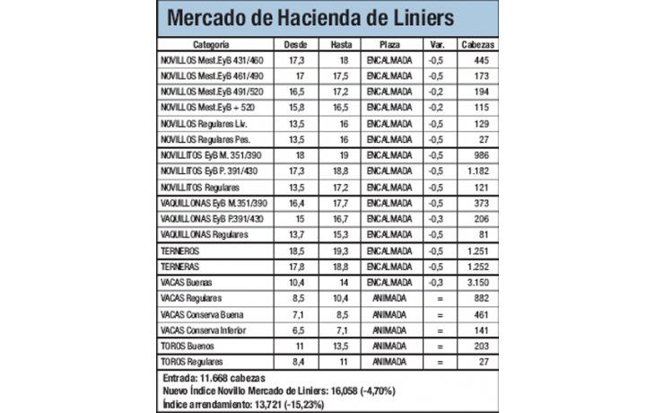 Mercado de Liniers: novillo cayó 4,70%