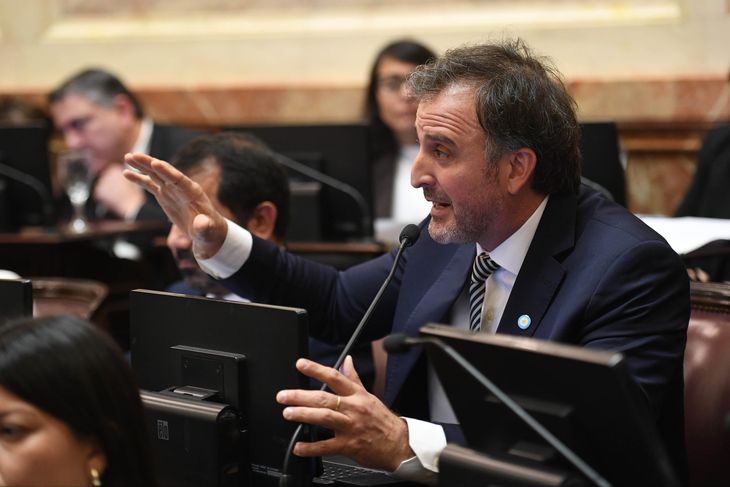 Benegas Lynch apuntó contra Juliana Di Tullio.