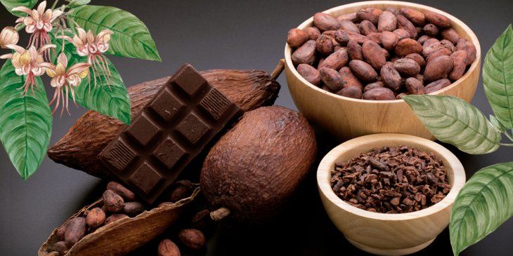 From the US$4,200 per ton that started the year, cocoa already exceeds US$10,000, the highest value in its history.  Not even bitcoin dared to do that!