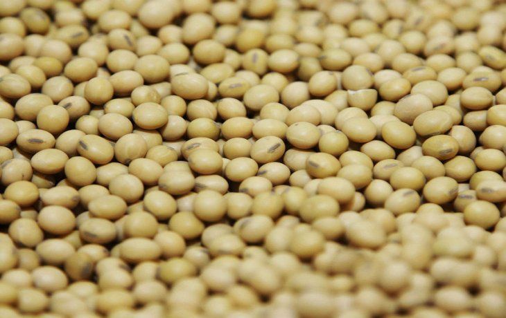 En su discurso, Milei vinculó la falta de actualización normativa con la brecha productiva frente a Brasil. En su discurso, Milei vinculó la falta de actualización normativa con la brecha productiva frente a Brasil.