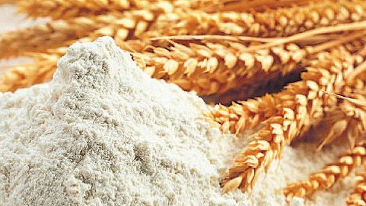 aliquots for soybean derivatives are reestablished to subsidize flour