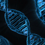 Científicos del CONICET identificaron un nuevo linaje genético en el centro de Argentina. Científicos del CONICET identificaron un nuevo linaje genético en el centro de Argentina.