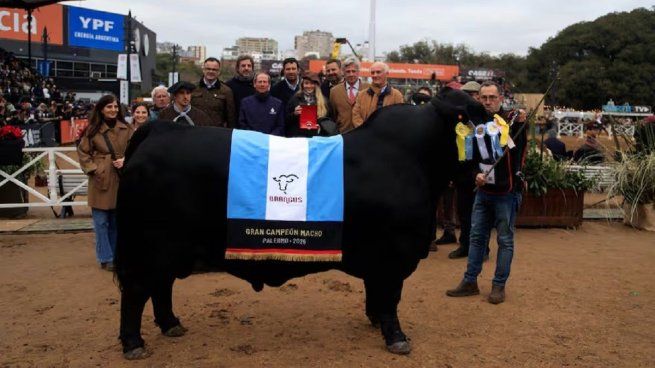 Morocho es el mejor Barangus del mundo.