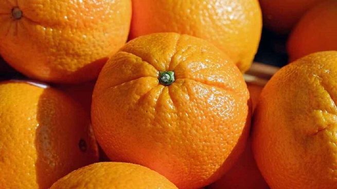 Alimentos beneficiosos para el cerebro. 