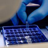 Rige el Registro de Datos Genéticos de Cadáveres no Identificados en PBA. Rige el Registro de Datos Genéticos de Cadáveres no Identificados en PBA.
