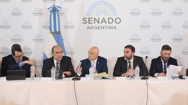 El Senado es el ámbito donde se espera que avance la ley Bases, analizada en comisiones.