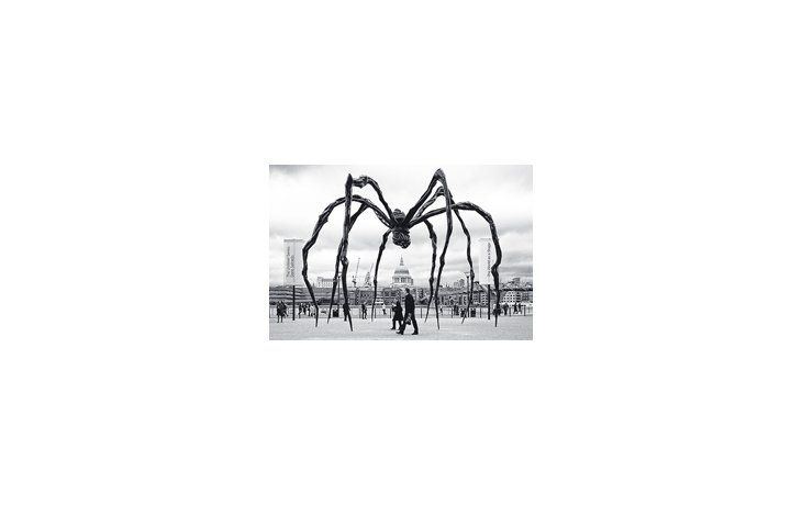 En marzo se inaugura en Proa la muestra «Louise Bourgeois: el retorno de lo reprimido», acompañada por la edición de dos volúmenes especiales sobre la obra de la artista franco-norteamericana.
