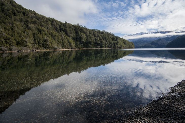 Los Alerces está declarado como patrimonio mundial con más de 250 mil hectáreas de bosque patagónico.