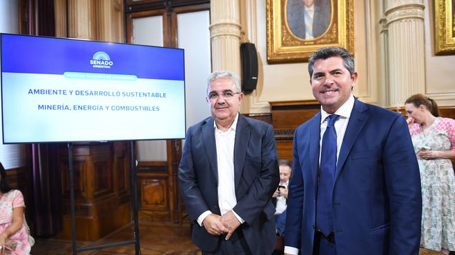 Raúl Jalil y Marcelo Orrego en el plenario del Senado de la Nación.