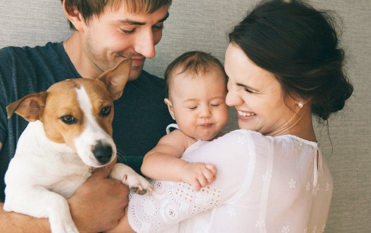Los perros brindan excelentes experiencias para los niños, desarrollando sus habilidades sociales y ayudándolos a aprender cómo lidiar con sus emociones.&nbsp;