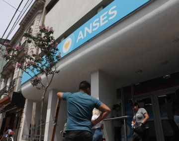 ANSES: ¿cómo Hago El Cambio De SUAF A AUH?