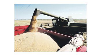 La consultora Econométrica estimó que las exportaciones de granos de la Argentina crecerán en 2011 un 34% en relación con este año.