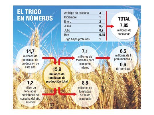 Liberaron 450 mil toneladas de trigo para la exportación