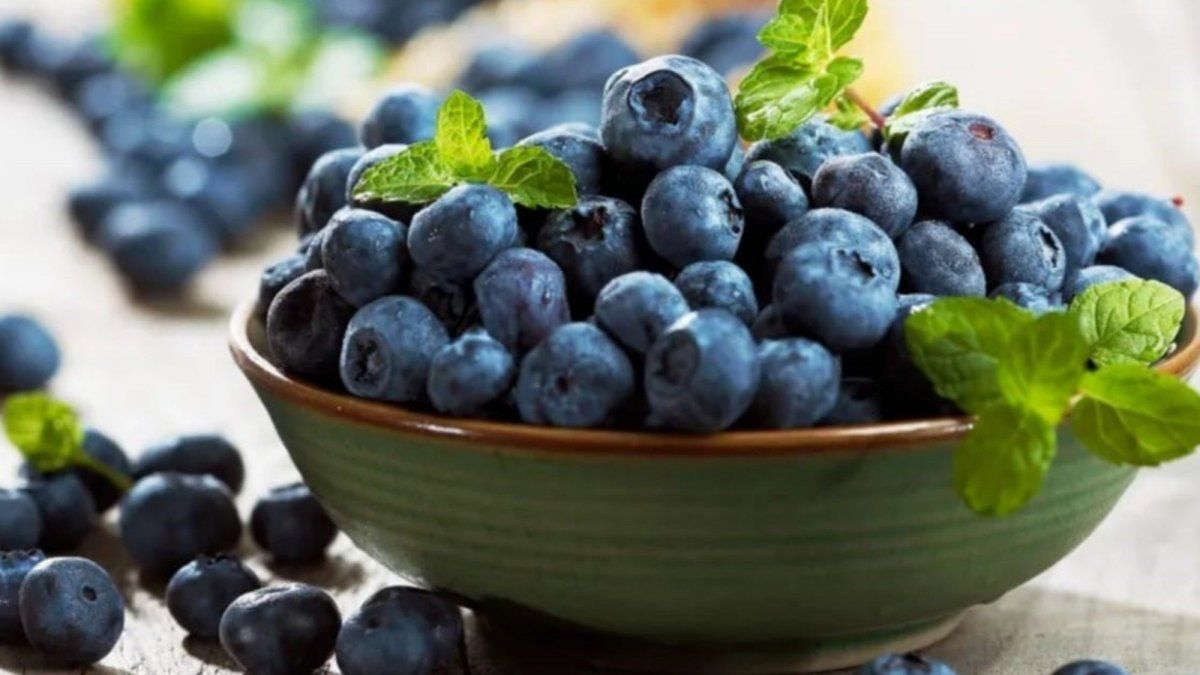 This snack is the best saved secret to protect memory and enhance defenses