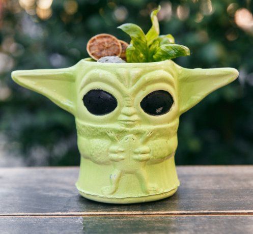 En su carta también hay un cóctel muy particular, llamado Baby Yoda, a base de ron Havana Club, Malibú, jugo de lima, jugo de naranja, almíbar de miel, albahaca y hielo. En su carta también hay un cóctel muy particular, llamado Baby Yoda, a base de ron Havana Club, Malibú, jugo de lima, jugo de naranja, almíbar de miel, albahaca y hielo.