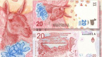 Billetes raros.