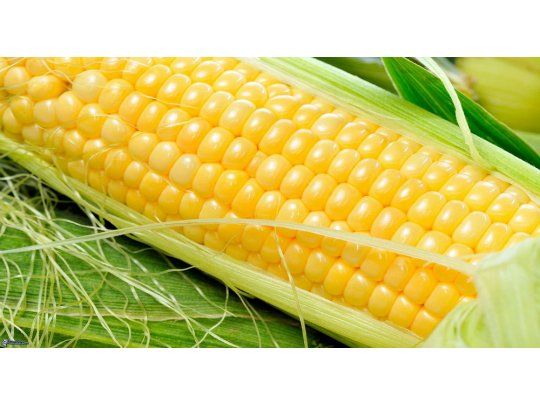 Aumentaría la producción de biocombustibles