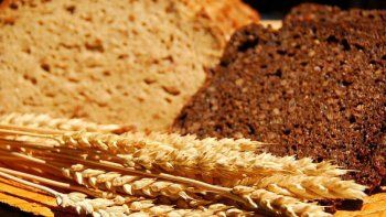 ámbito.com | Celiaquía: el 98% considera que los alimentos sin TACC son más caros
