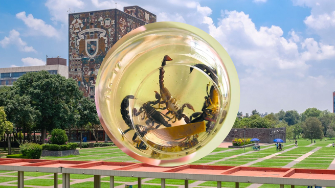 El hallazgo de la UNAM para nuevos antibióticos.