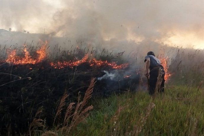 Incendios forestales en Misiones.