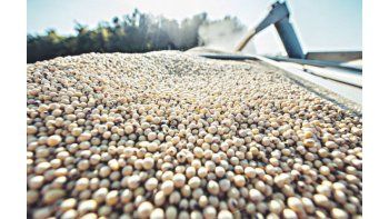 Soja: reducir 5% retenciones duplicaría el margen neto en el norte argentino
