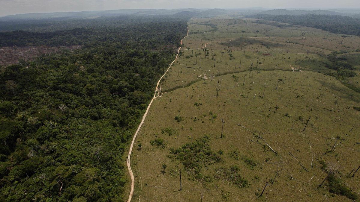 He is a Swedish billionaire and he bought part of the Amazon to save it