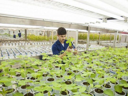 Bioceres S.A. es la empresa argentina que dio origen al grupo biotecnológico fundado en Rosario.