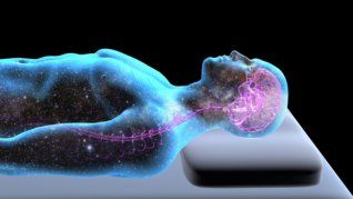 El estudio se suma a una sólida trayectoria científica que señala a regiones como las cortezas parahipocampal, perirrinal y prefrontal como responsables de codificar la memoria emocional. El estudio se suma a una sólida trayectoria científica que señala a regiones como las cortezas parahipocampal, perirrinal y prefrontal como responsables de codificar la memoria emocional.