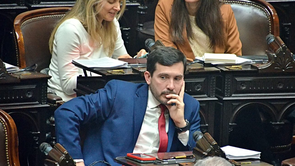 I am not afraid of being thrown out, said one of the radical deputies who aligned himself with Milei