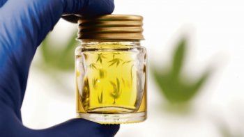 presentan en ee.uu. una patente para incluir al cannabis en blockchain