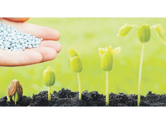 Paulatina recuperación del uso de fertilizantes