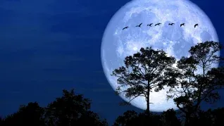 La Luna de Nieve más extrema llegará el 1 de febrero.