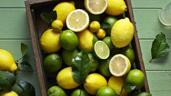 dia mundial del limon: cuales son los beneficios para la salud