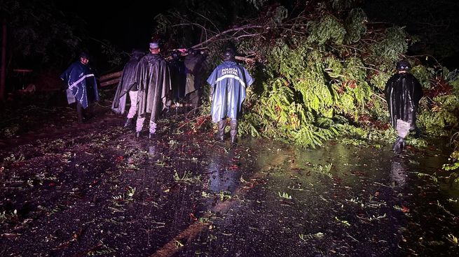 Guerrero fue uno de los estados más afectados por el huracán John.