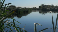 Reserva Natural Laguna de Rocha.