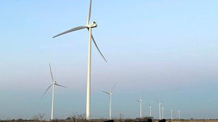 Vacas y energías renovables. La Pampa avanza con un plan a 20 años para cambiar su matriz energética, que brinde sostenibilidad a la agroindustria y nuevos emprendimientos productivos.