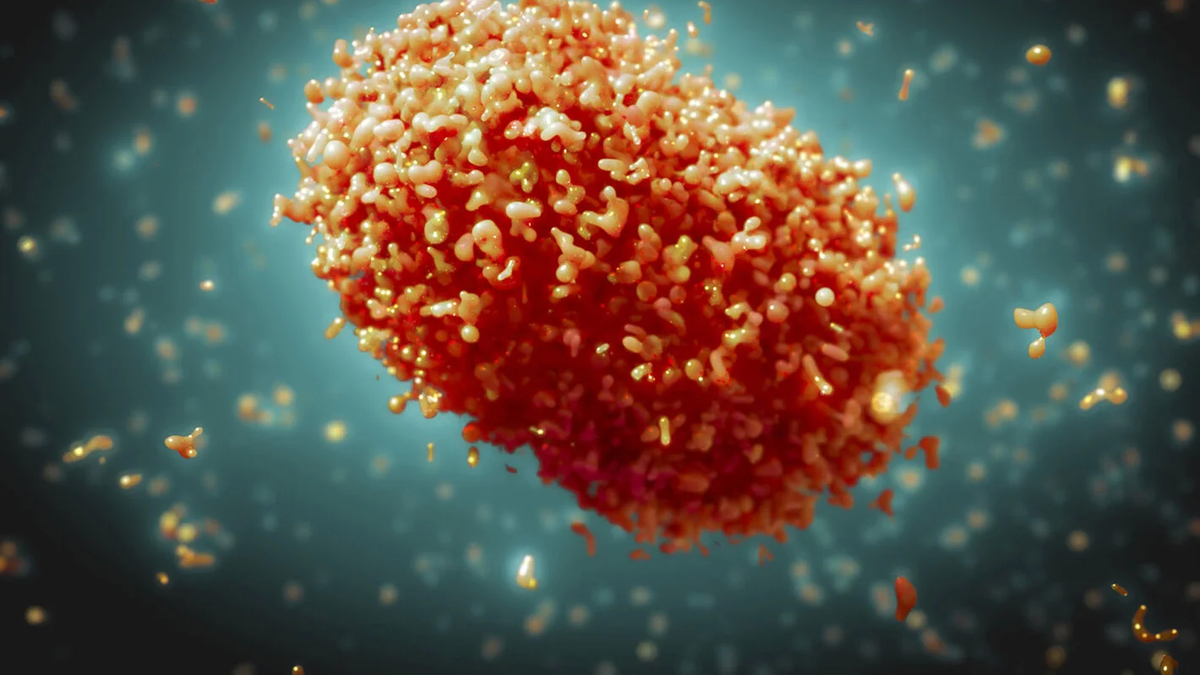 WHO maintains the international emergency for monkey smallpox