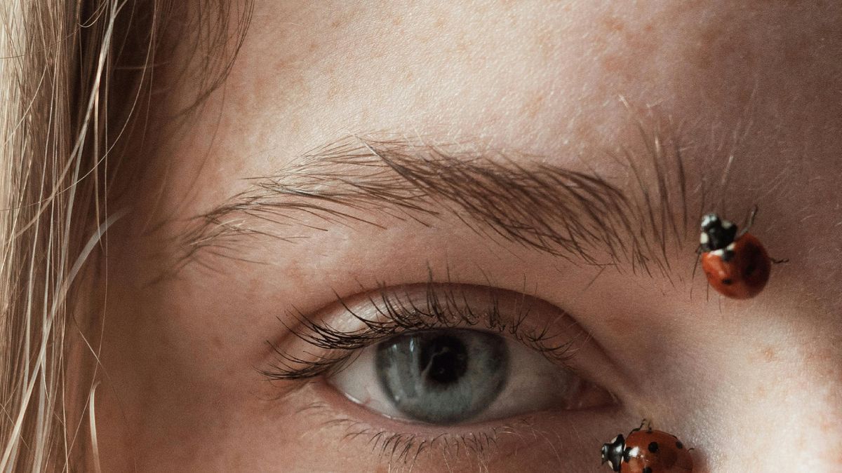 A must for flirts: the million-dollar invention of the latest technology that applies eyelashes