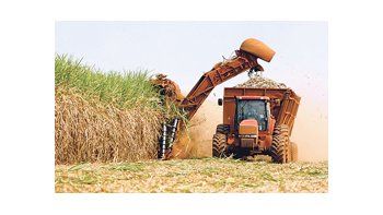 Grandes cosechas de caña en productores clave como Brasil, Tailandia, Australia y México han generado un sustancial superávit mundial de azúcar esta temporada. El mayor exportador, Brasil está cosechando sus abundantes cultivos de caña con un clima ideal.