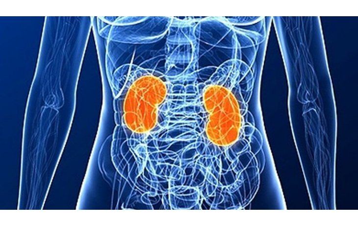 Salud. La insuficiencia renal aguda también puede precipitar otros cuadros, como la insuficiencia cardíaca sepsis y otro tipo de infecciones.