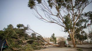 El temporal en Chubut generó graves destrozos.